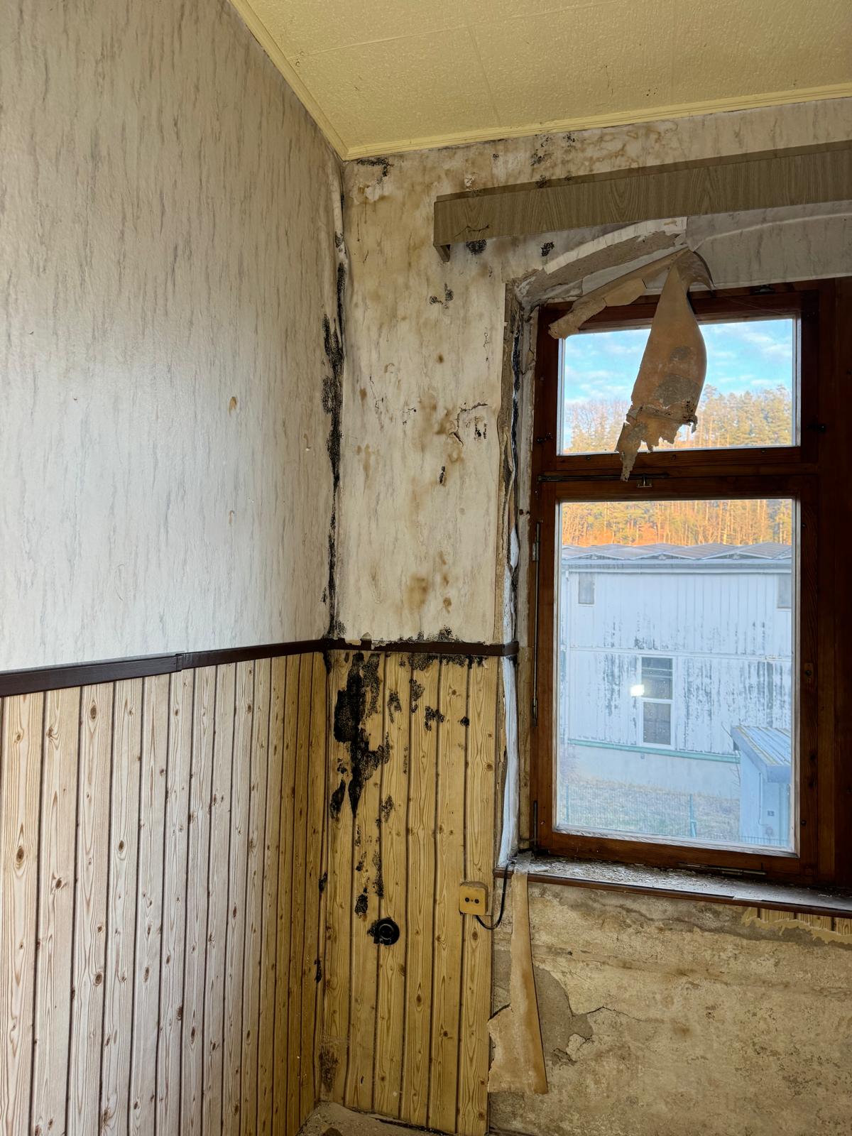 Sanierungsobjekt mit großem Entwicklungspotenzial - Bild 25